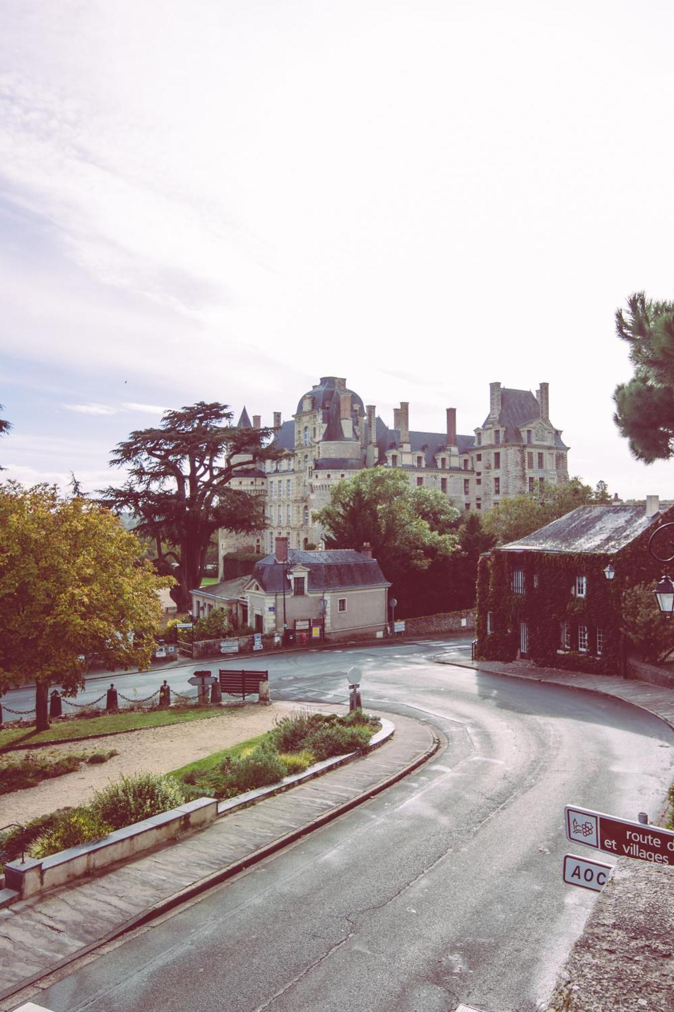 Brissac-QuinceLe Regisseur公寓 外观 照片